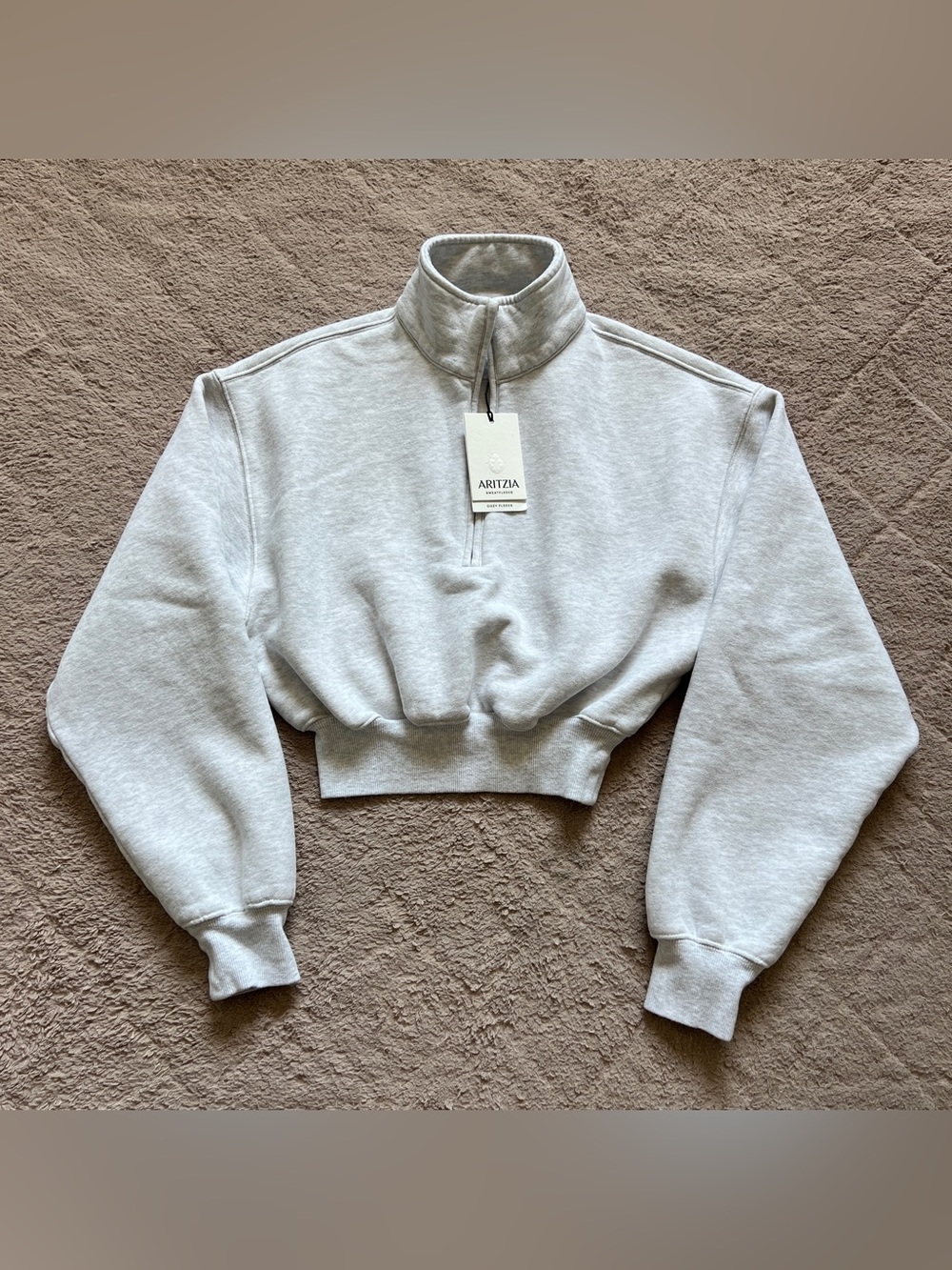NWT Aritzia Sweat Fleece Boyfriend Fit Cropped Sweatshirt Athleisure Cozy Sz XXS